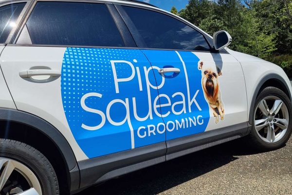 Pip queek Grooming Audi Wrap