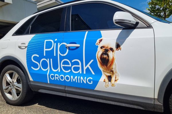 Pip queek Grooming Audi Wrap