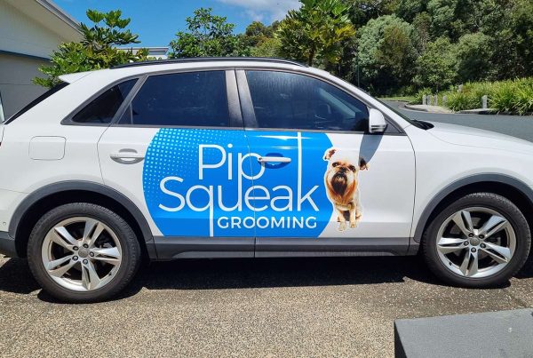 Pip queek Grooming Audi Wrap